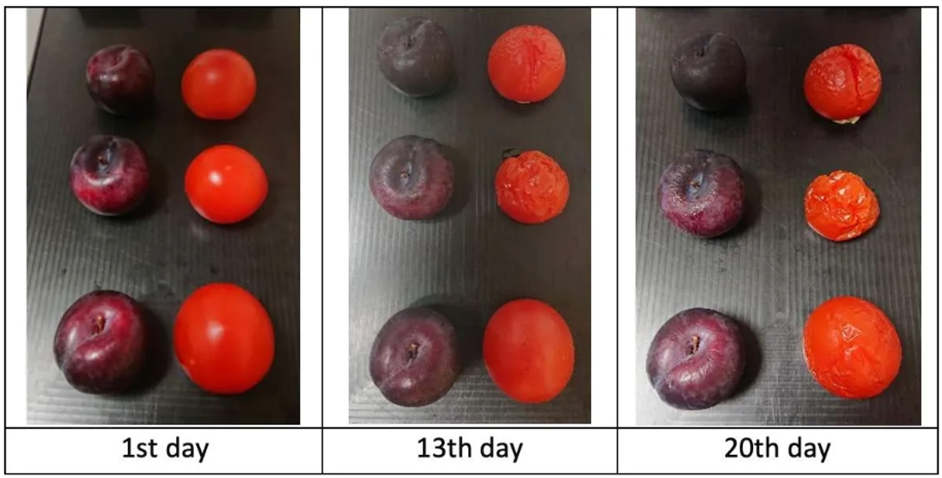 ��ҳ| ����֮��hy590���¹ٷ���վ