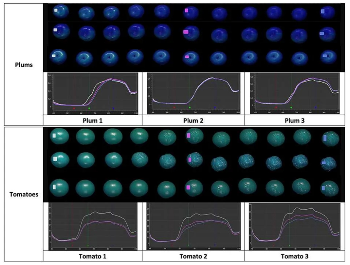 ��ҳ| ����֮��hy590���¹ٷ���վ