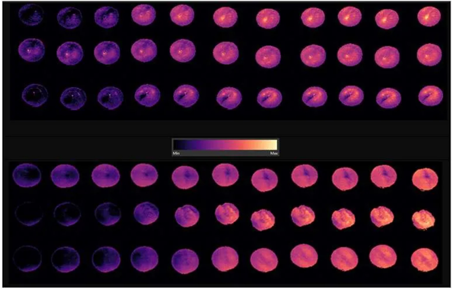 ��ҳ| ����֮��hy590���¹ٷ���վ