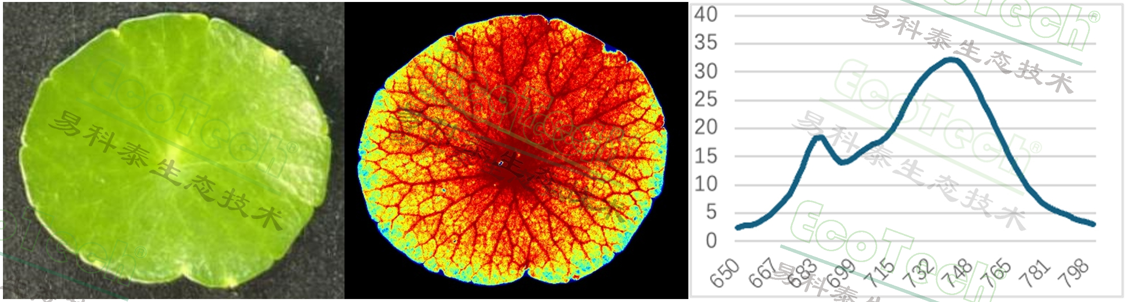 Ê×Ò³| º£ÑóÖ®Éñhy590×îйٷ½ÍøÕ¾