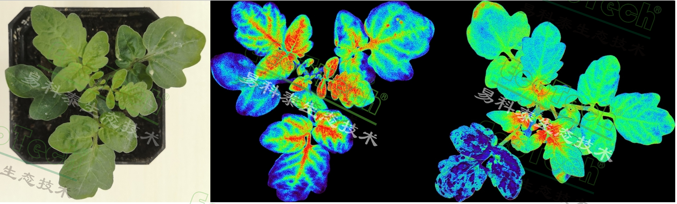 Ê×Ò³| º£ÑóÖ®Éñhy590×îйٷ½ÍøÕ¾
