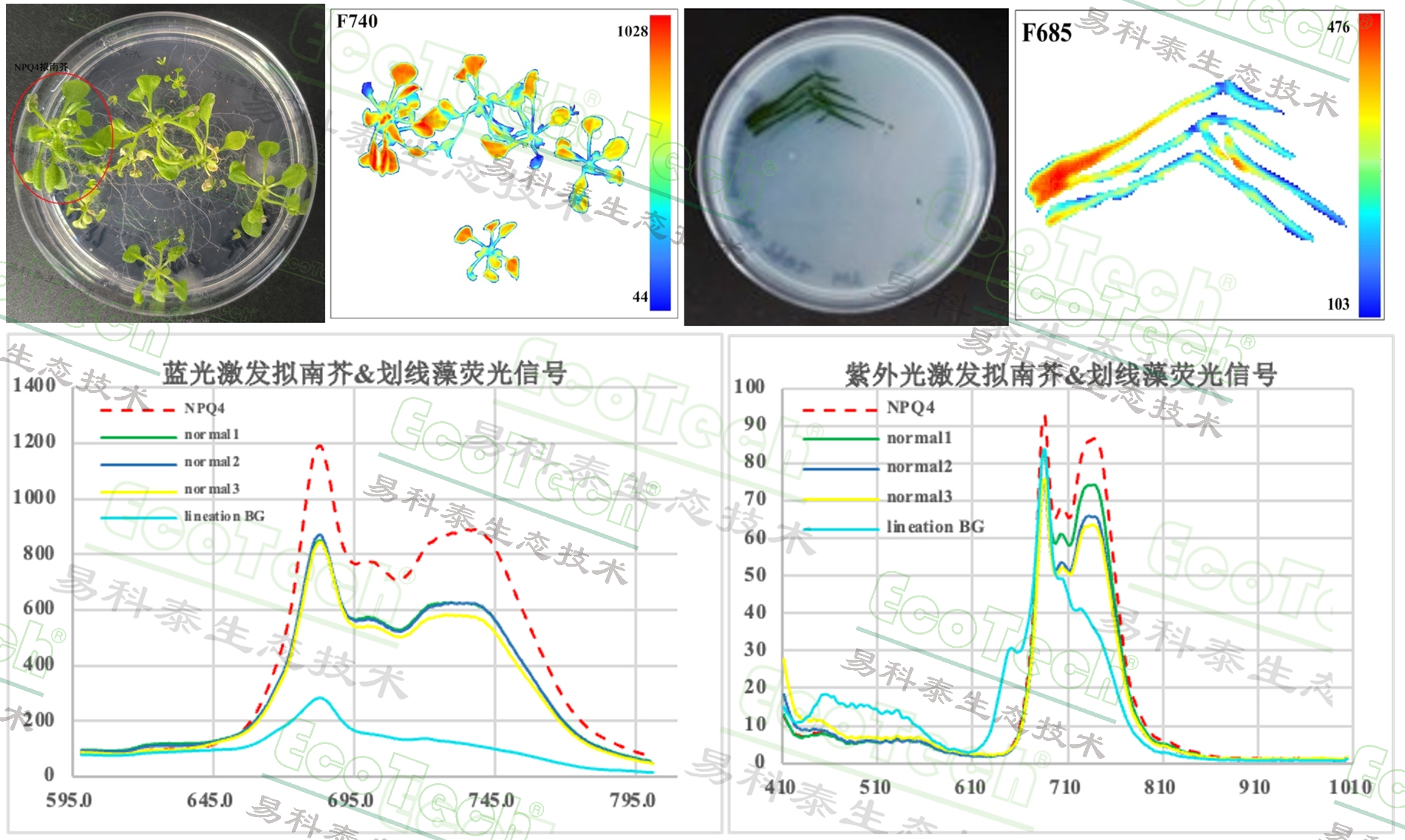 Ê×Ò³| º£ÑóÖ®Éñhy590×îйٷ½ÍøÕ¾