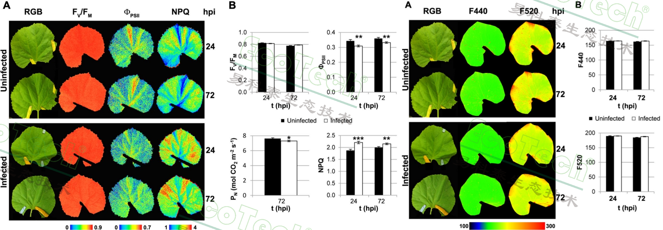 ��ҳ| ����֮��hy590���¹ٷ���վ