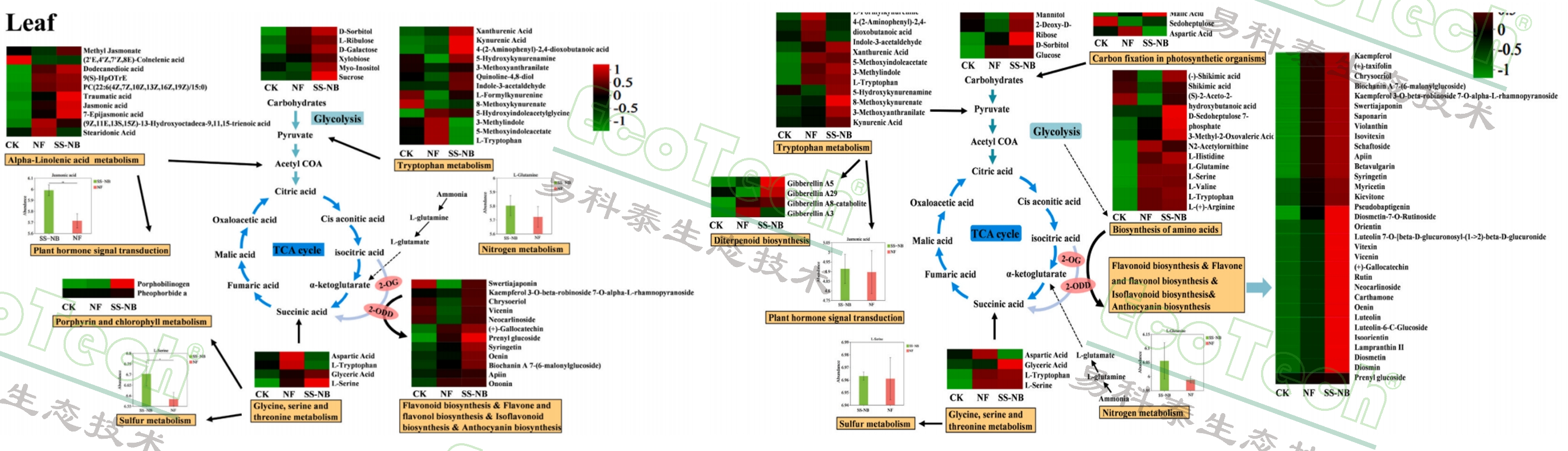 ��ҳ| ����֮��hy590���¹ٷ���վ