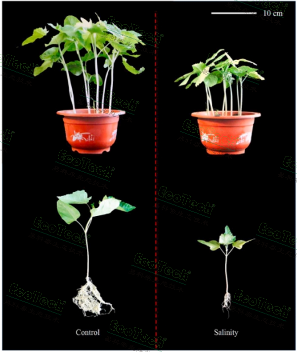 ��ҳ| ����֮��hy590���¹ٷ���վ