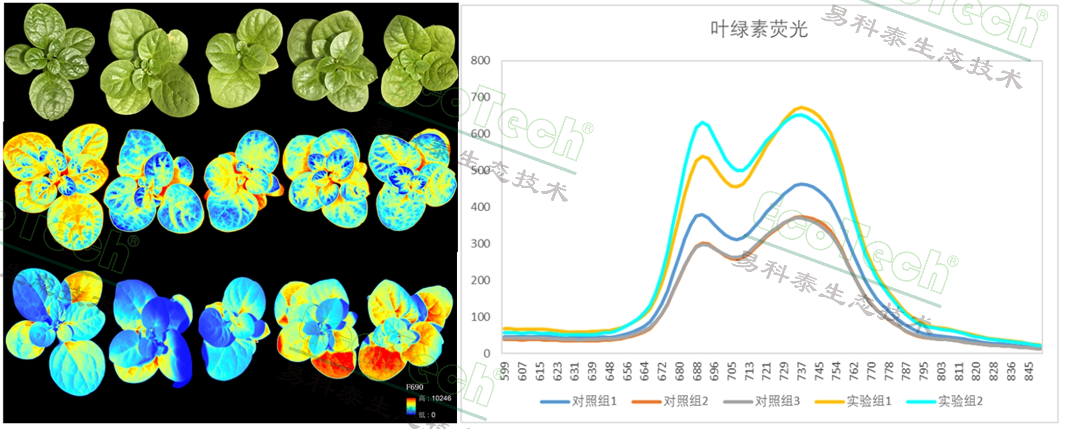 ��ҳ| ����֮��hy590���¹ٷ���վ