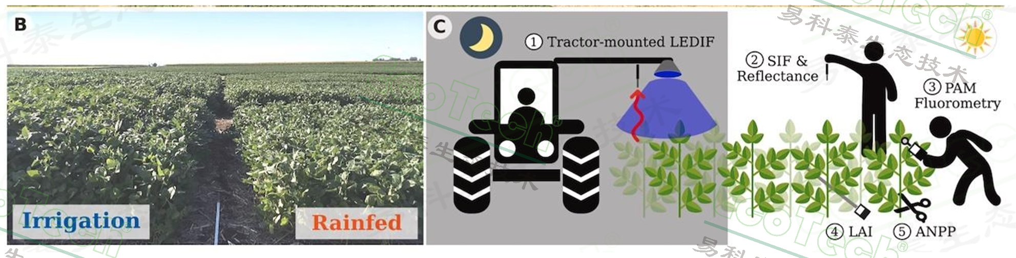 ��ҳ| ����֮��hy590���¹ٷ���վ