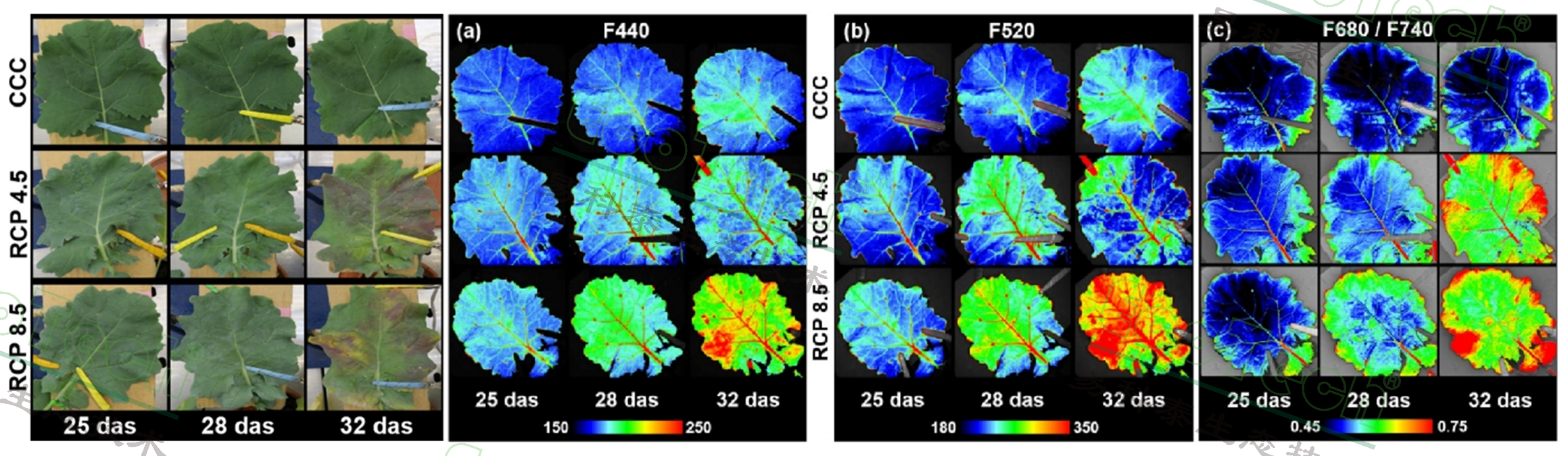 ��ҳ| ����֮��hy590���¹ٷ���վ