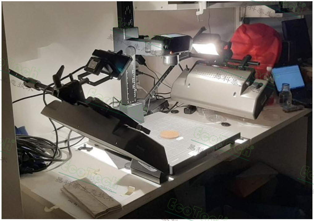 ��ҳ| ����֮��hy590���¹ٷ���վ