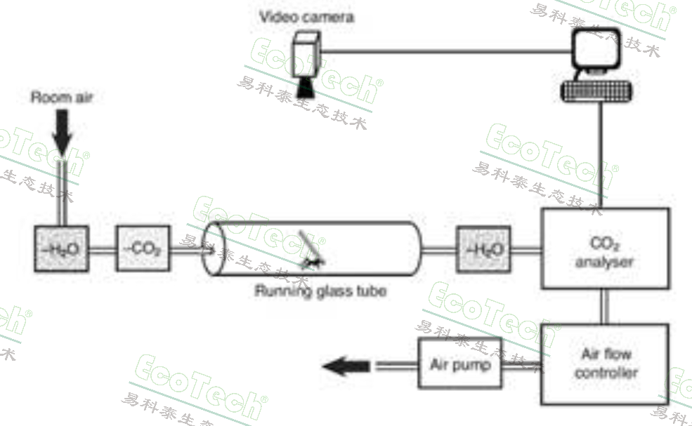 Macintosh HD:Users:cqyu:Desktop:Ecotech-Suppliers:����:Sablesys.com:Reference:������޼�׵����:Ants:ant respirometry.jpg