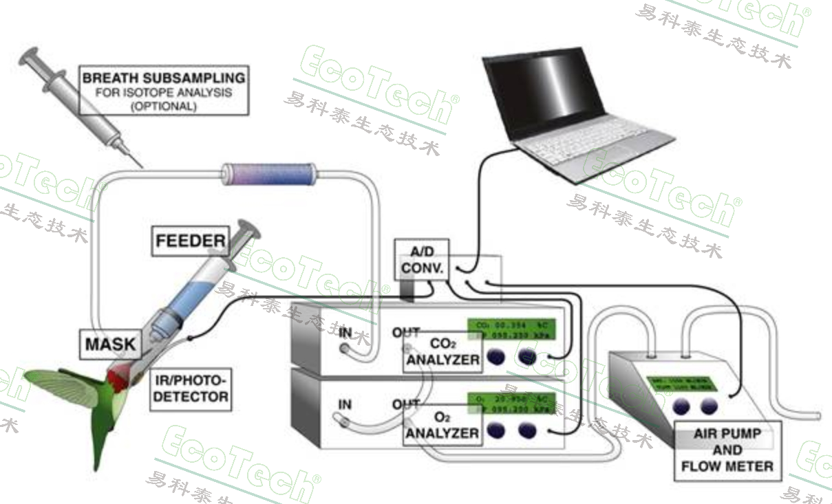 ��ҳ| ����֮��hy590���¹ٷ���վ