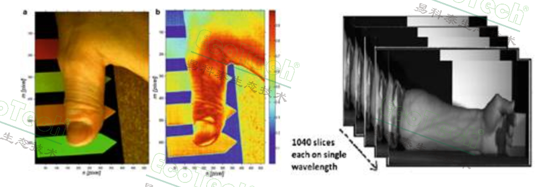 Ê×Ò³| º£ÑóÖ®Éñhy590×îйٷ½ÍøÕ¾