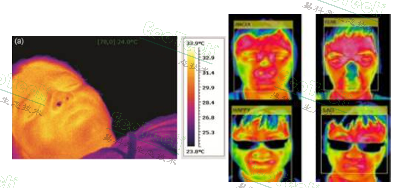 Ê×Ò³| º£ÑóÖ®Éñhy590×îйٷ½ÍøÕ¾