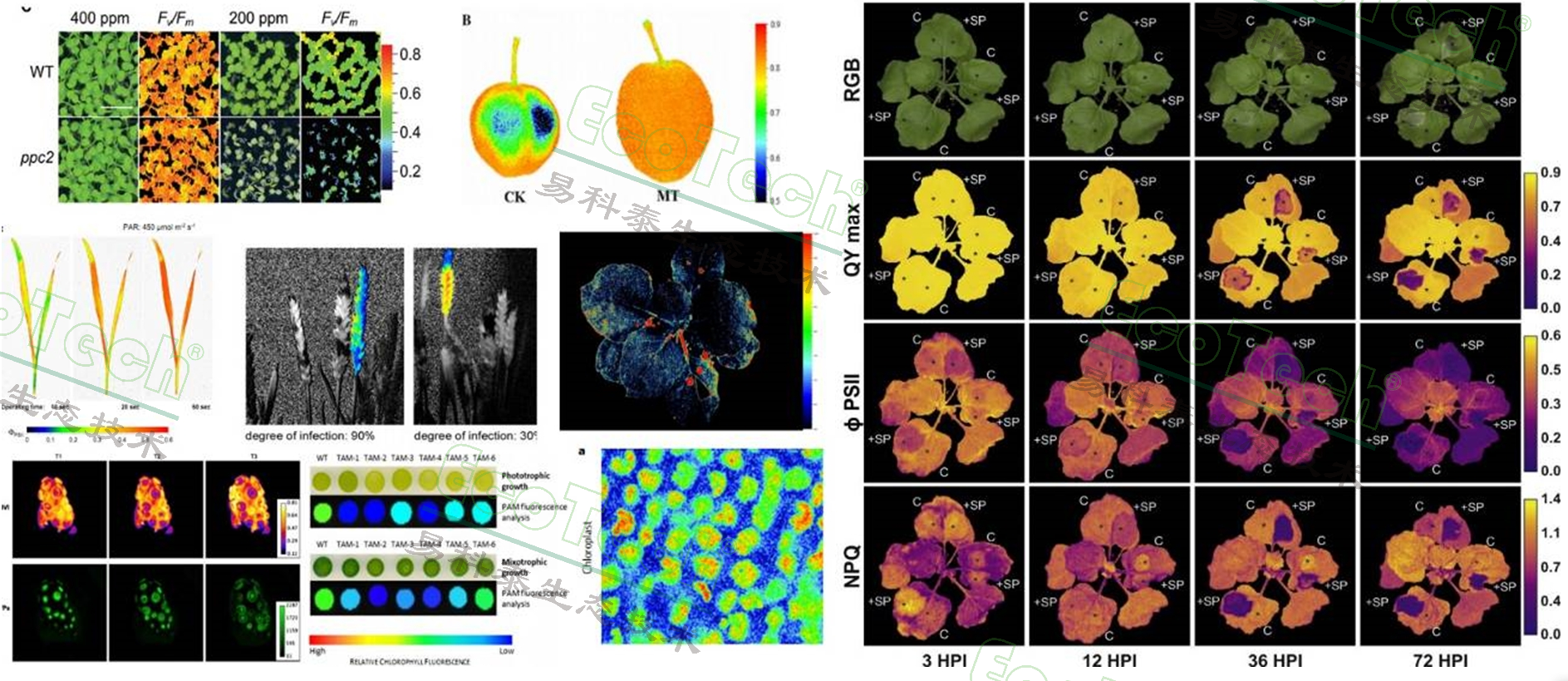 ��ҳ| ����֮��hy590���¹ٷ���վ