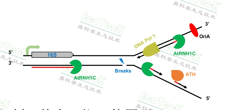 ��ҳ| ����֮��hy590���¹ٷ���վ