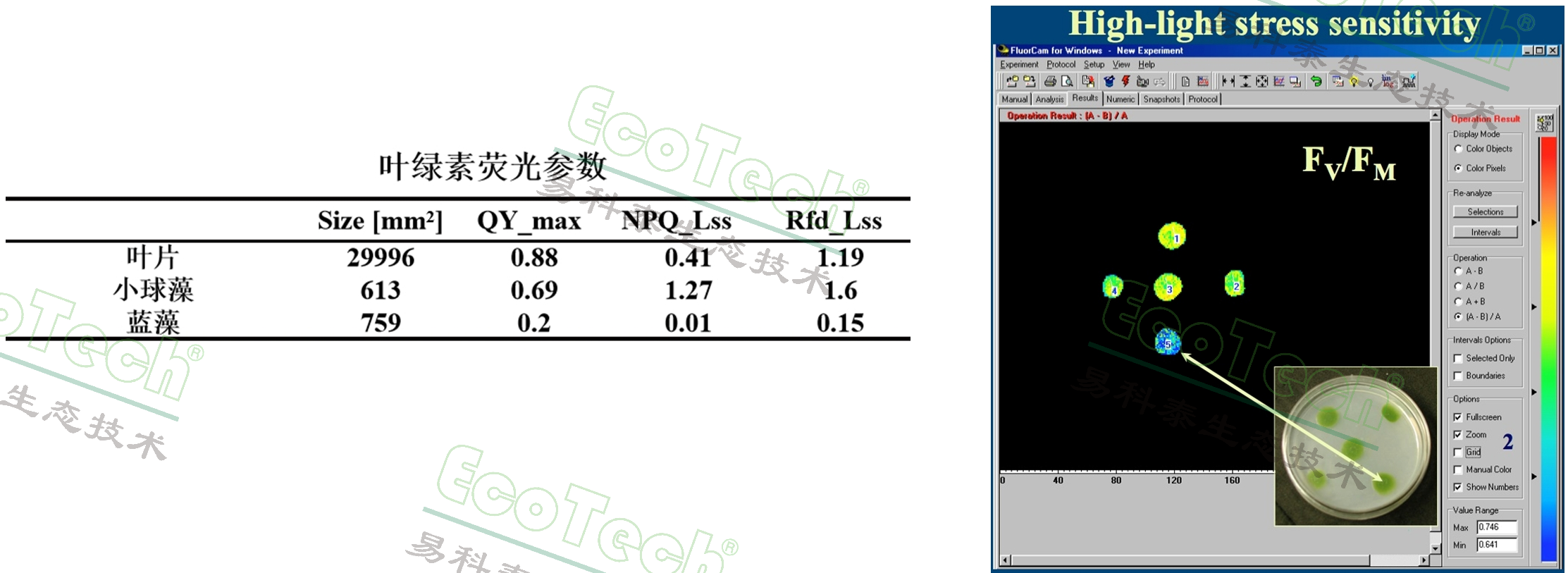 ��ҳ| ����֮��hy590���¹ٷ���վ