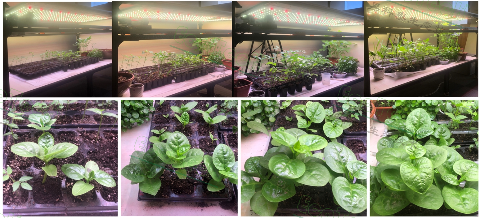 ��ҳ| ����֮��hy590���¹ٷ���վ