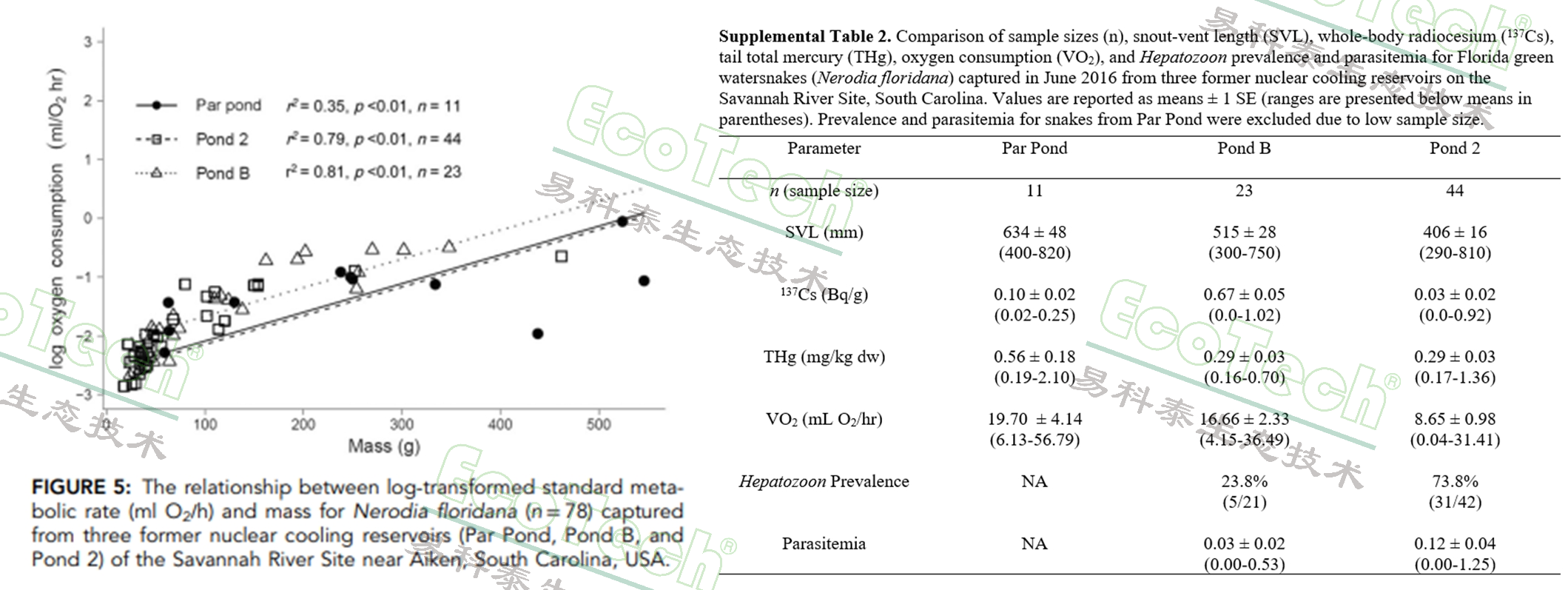 首页| 海洋之神hy590最新官方网站