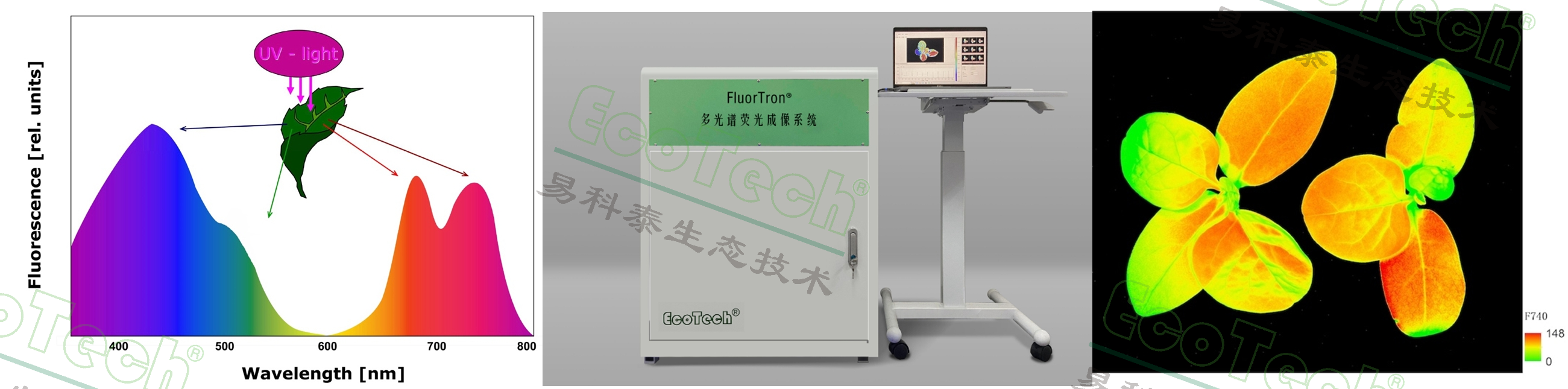 Ê×Ò³| º£ÑóÖ®Éñhy590×îйٷ½ÍøÕ¾