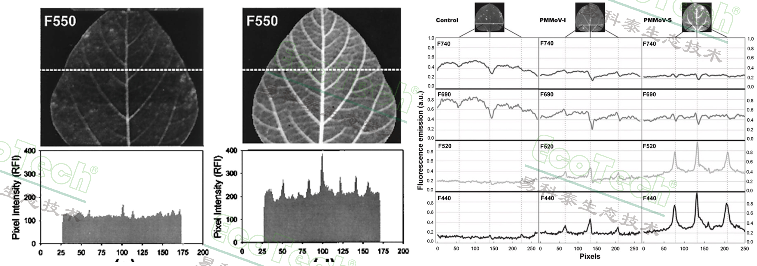 Ê×Ò³| º£ÑóÖ®Éñhy590×îйٷ½ÍøÕ¾