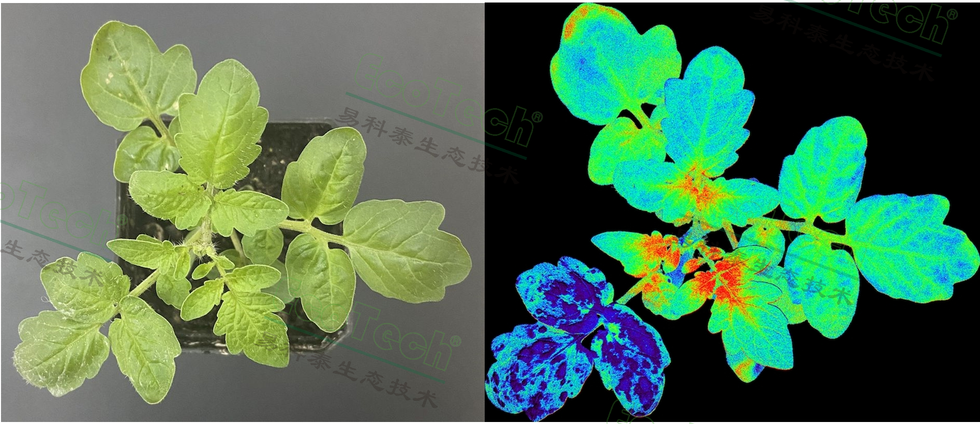 ��ҳ| ����֮��hy590���¹ٷ���վ