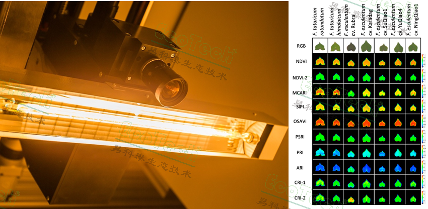 ��ҳ| ����֮��hy590���¹ٷ���վ