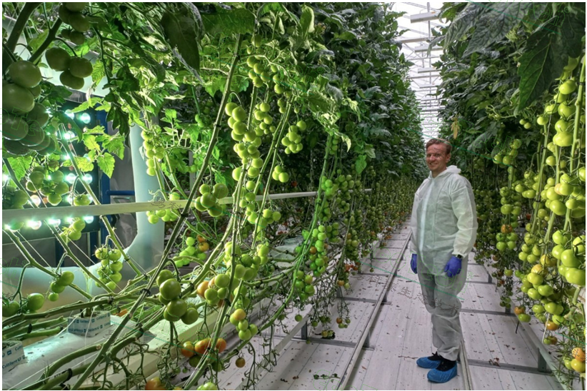 ��ҳ| ����֮��hy590���¹ٷ���վ