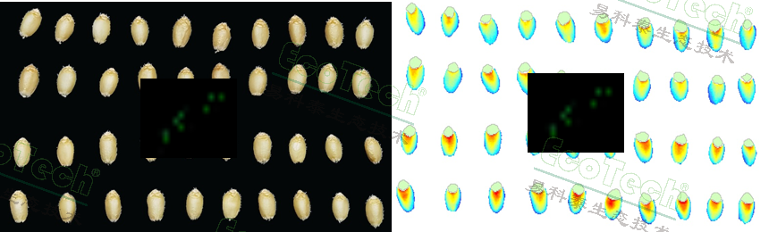 ��ҳ| ����֮��hy590���¹ٷ���վ