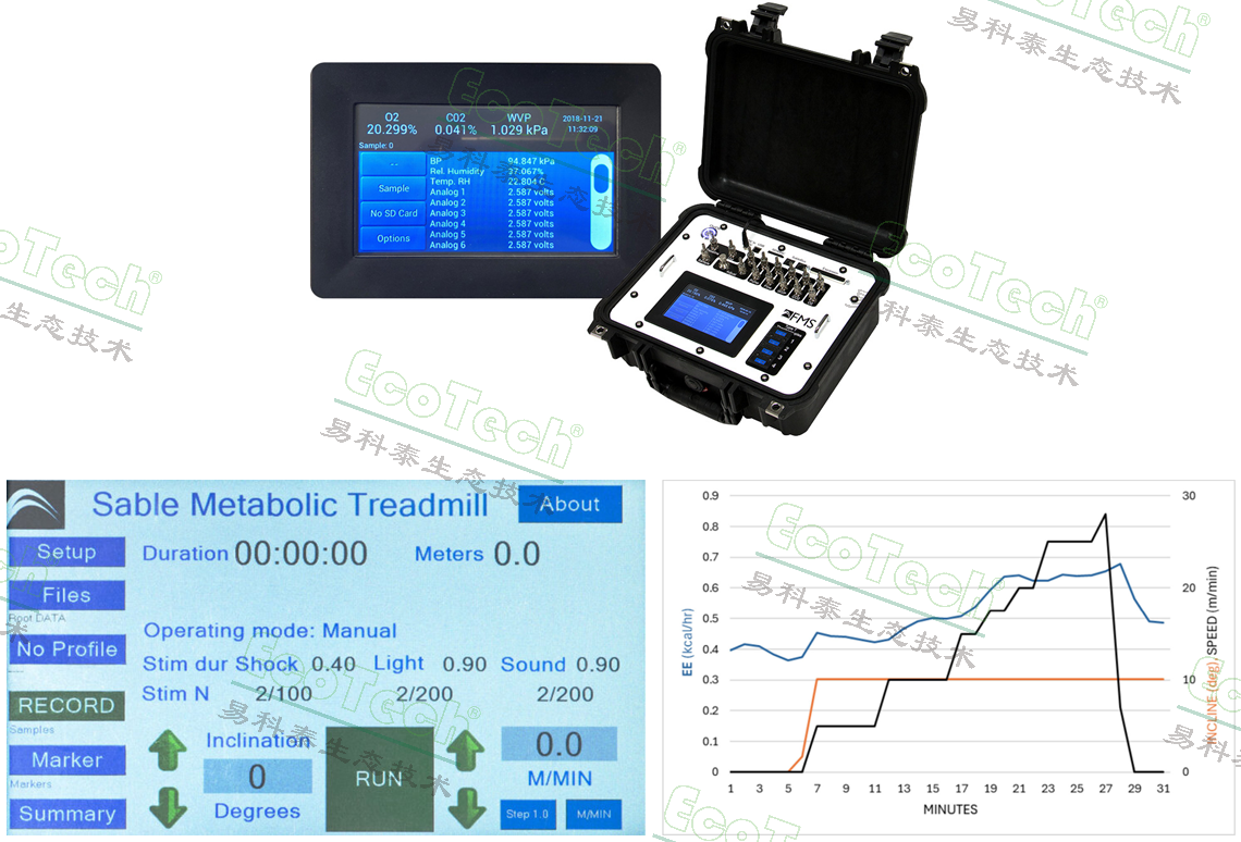 首页| 海洋之神hy590最新官方网站