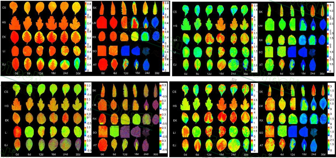 ��ҳ| ����֮��hy590���¹ٷ���վ