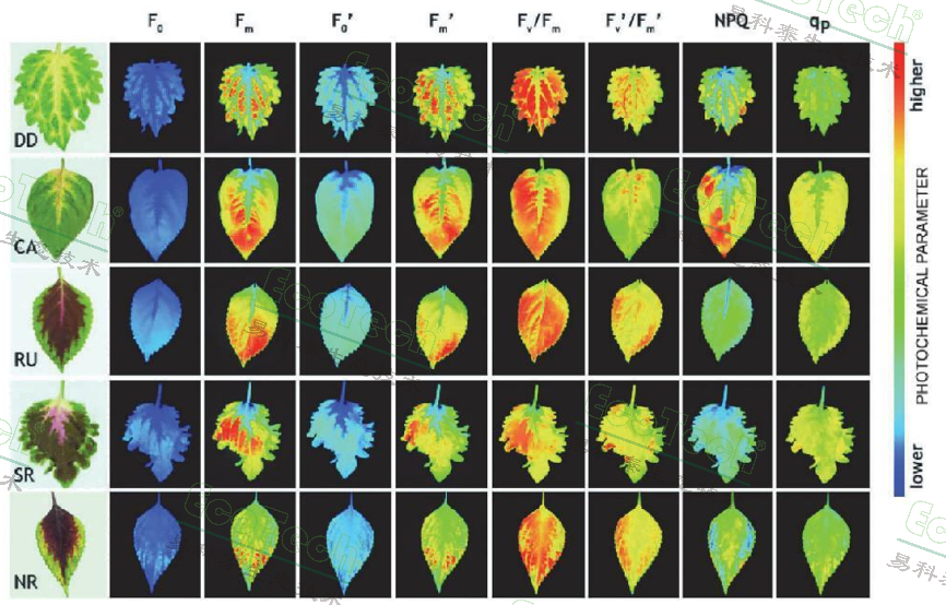 ��ҳ| ����֮��hy590���¹ٷ���վ