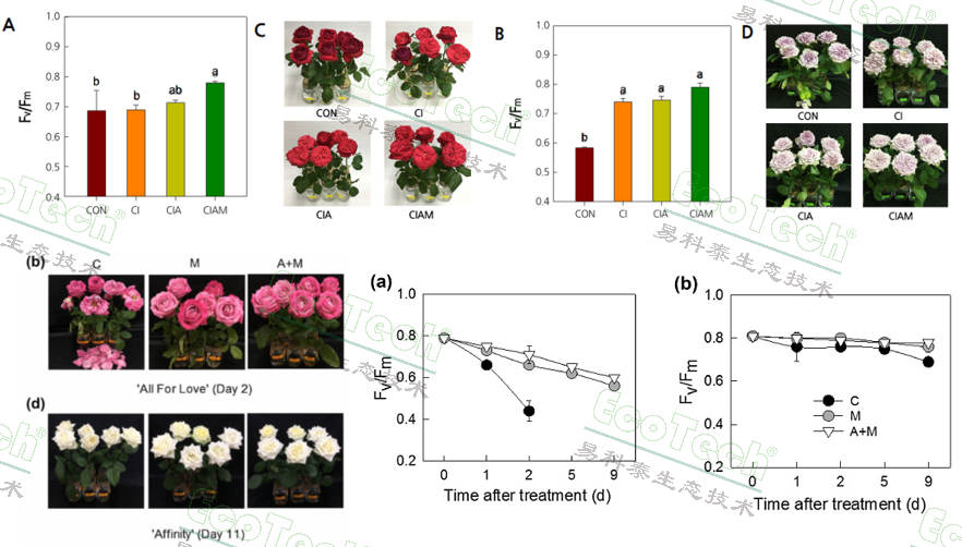 ��ҳ| ����֮��hy590���¹ٷ���վ