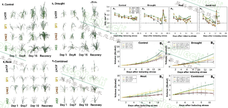 ��ҳ| ����֮��hy590���¹ٷ���վ