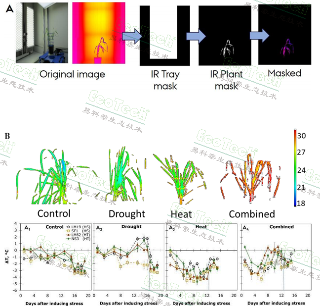 ��ҳ| ����֮��hy590���¹ٷ���վ