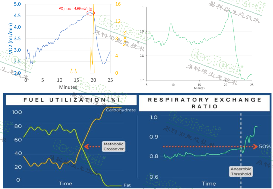 ��ҳ| ����֮��hy590���¹ٷ���վ