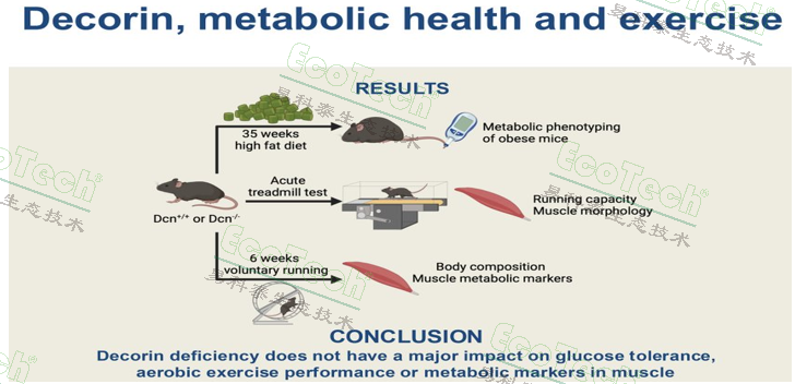 ��ҳ| ����֮��hy590���¹ٷ���վ