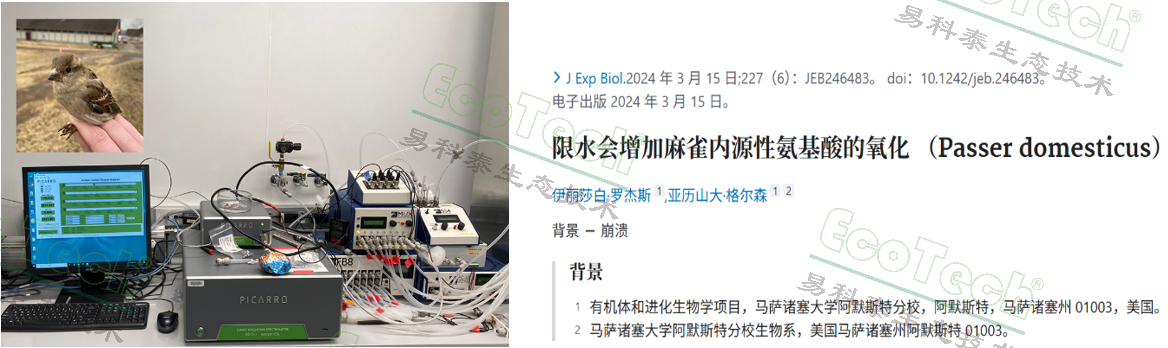 ��ҳ| ����֮��hy590���¹ٷ���վ