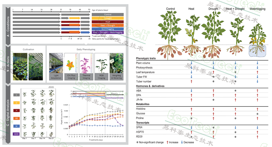 ��ҳ| ����֮��hy590���¹ٷ���վ