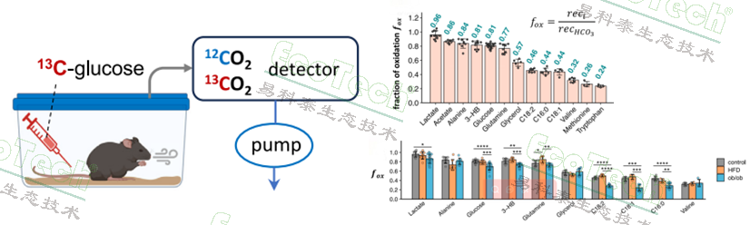 ��ҳ| ����֮��hy590���¹ٷ���վ