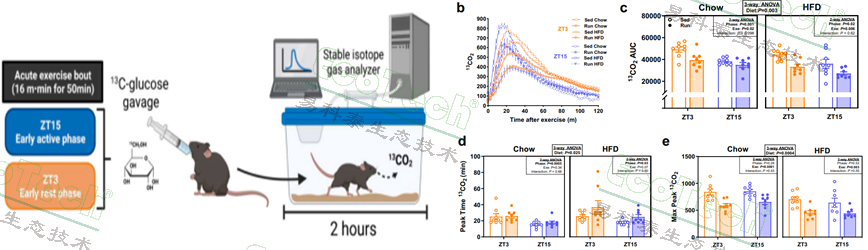 ��ҳ| ����֮��hy590���¹ٷ���վ