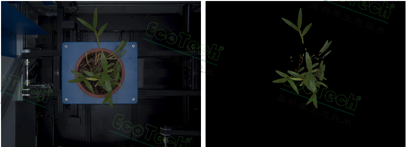 首页| 海洋之神hy590最新官方网站