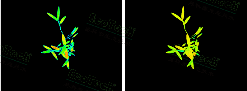 首页| 海洋之神hy590最新官方网站