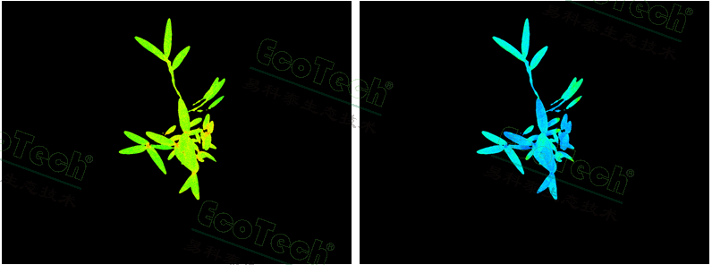 首页| 海洋之神hy590最新官方网站