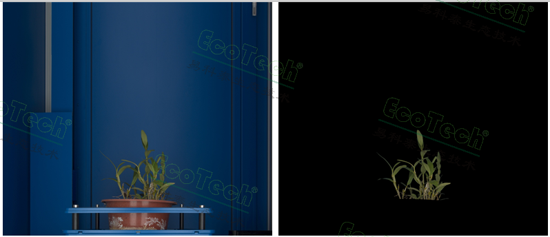 首页| 海洋之神hy590最新官方网站