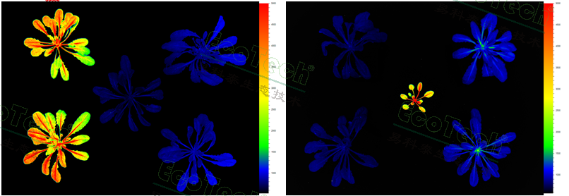 首页| 海洋之神hy590最新官方网站