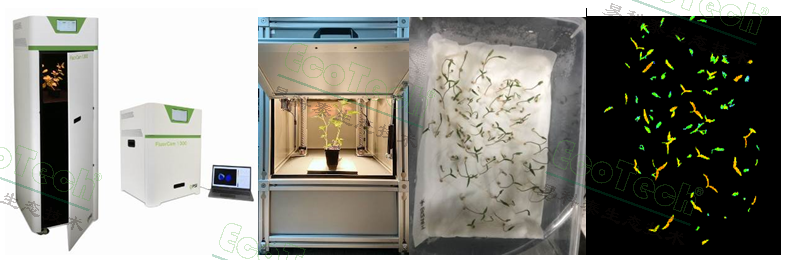 首页| 海洋之神hy590最新官方网站