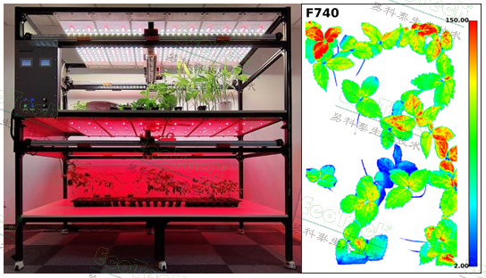 首页| 海洋之神hy590最新官方网站