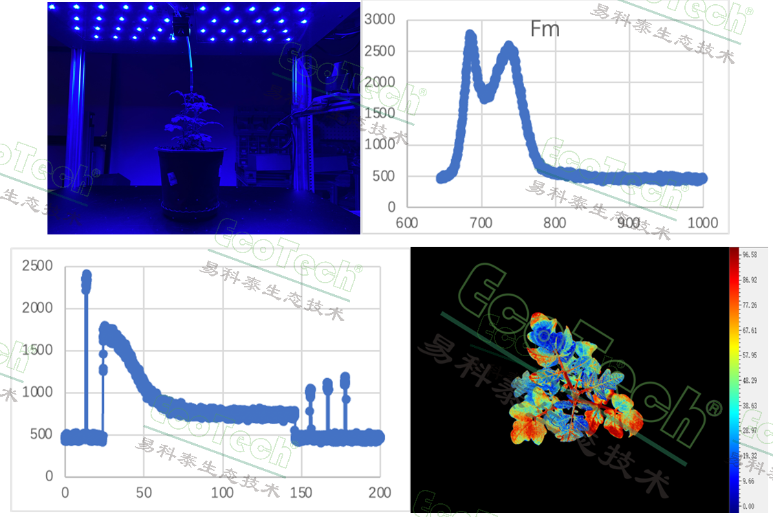 首页| 海洋之神hy590最新官方网站