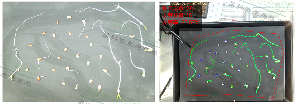 ��ҳ| ����֮��hy590���¹ٷ���վ