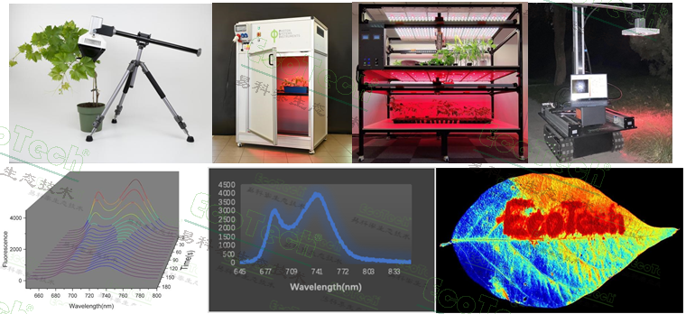 首页| 海洋之神hy590最新官方网站